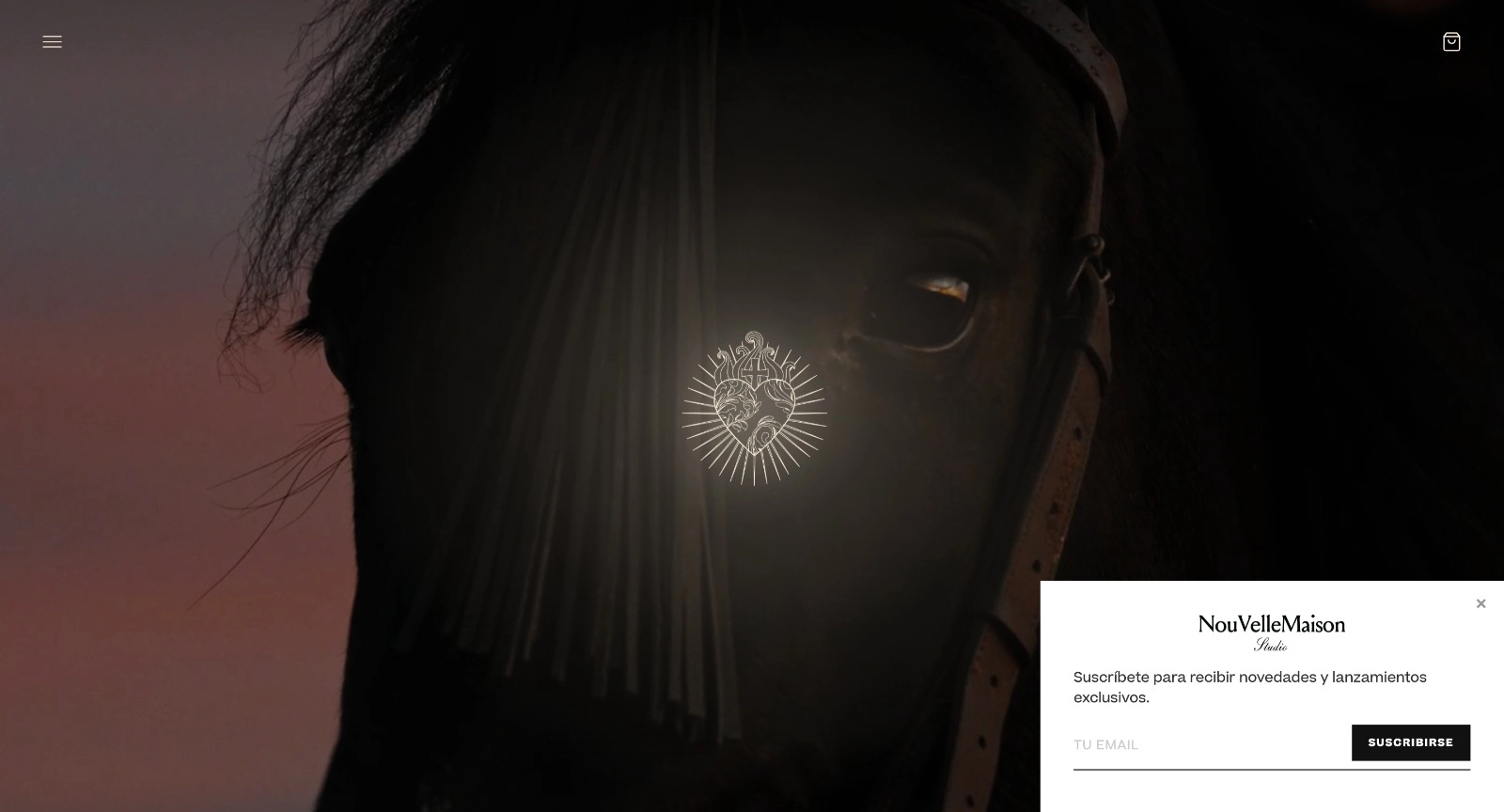 Newsletter popup de NouVelleMaison
