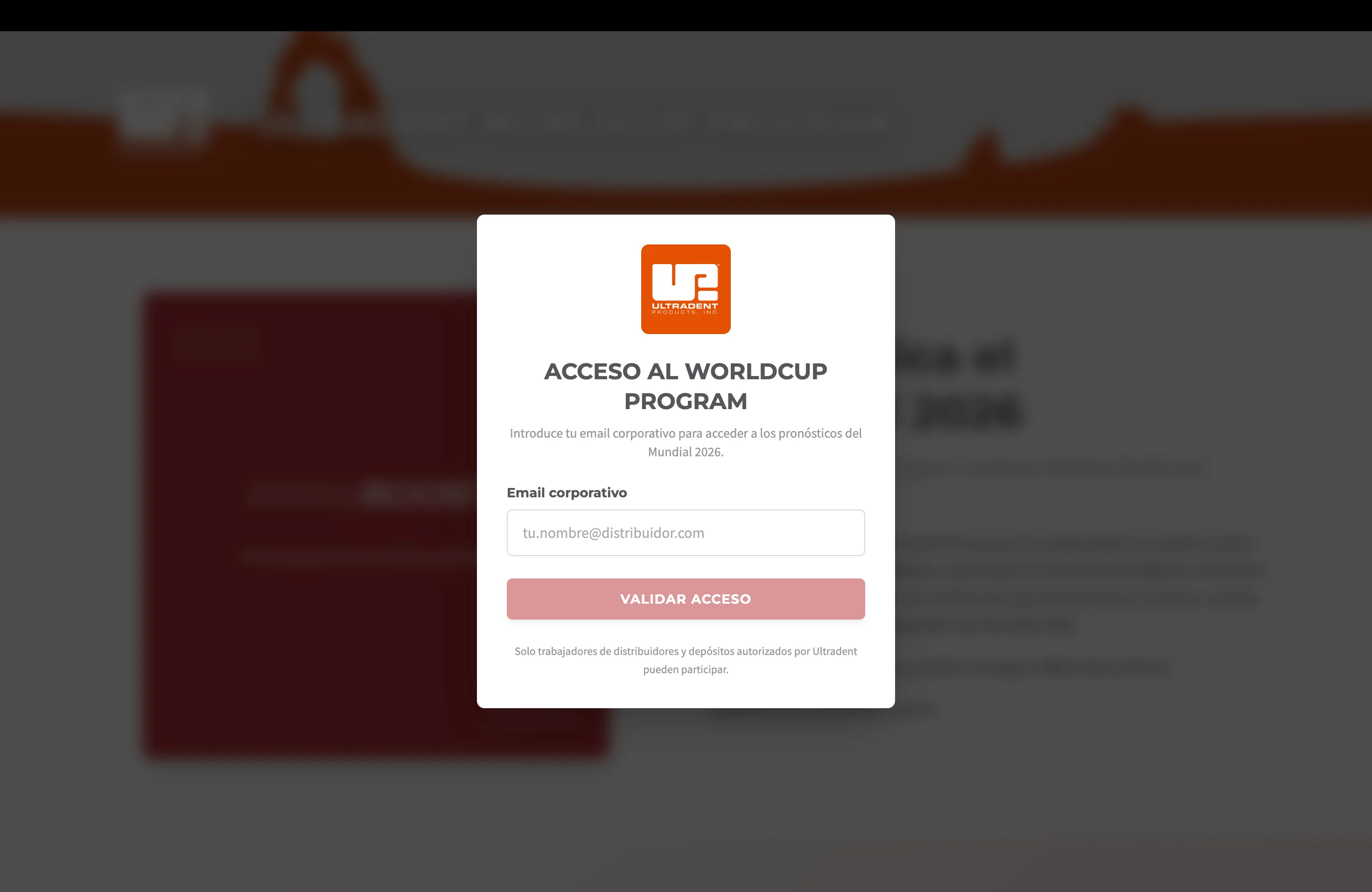 Pantalla de acceso restringido por email